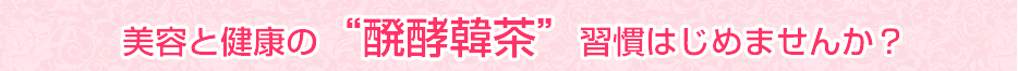 美容・健康・ダイエットの醗酵韓茶