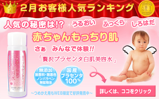 �Ԃ����������蔧�@�ґ�v���Z���^�������e��