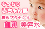�Ԃ����������蔧�@�ґ�v���Z���^�������e��
