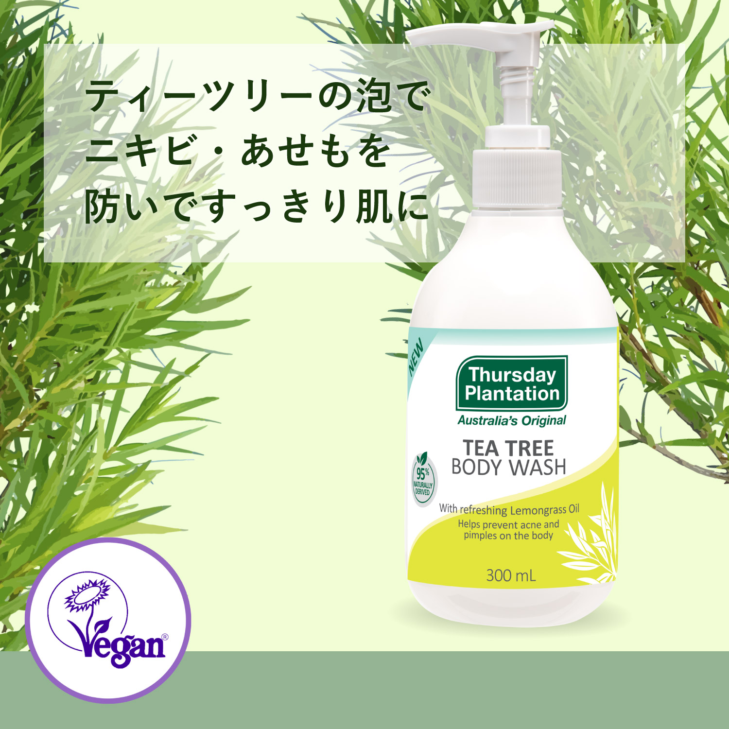 eB[c[̖AŃjLrEhł蔧ɁueB[c[ {fBEHbVv