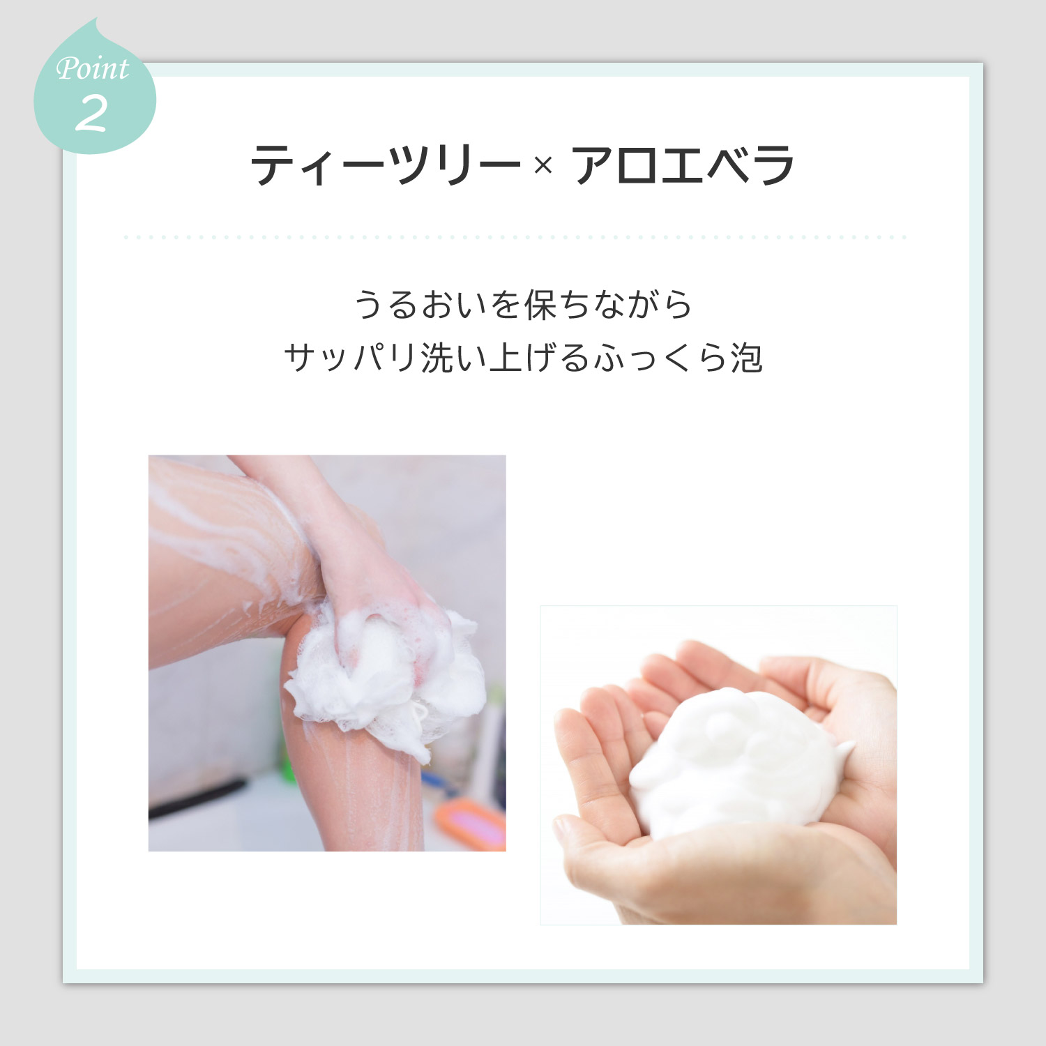 yPoint-2zeB[c[~AGxB邨ۂȂTbp􂢏グӂA