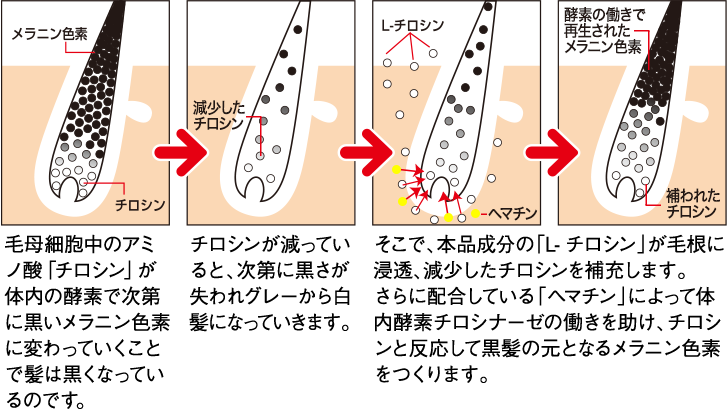 定期コース の通販ならwelva ウエルヴァ オーガニックコスメ通販サイト