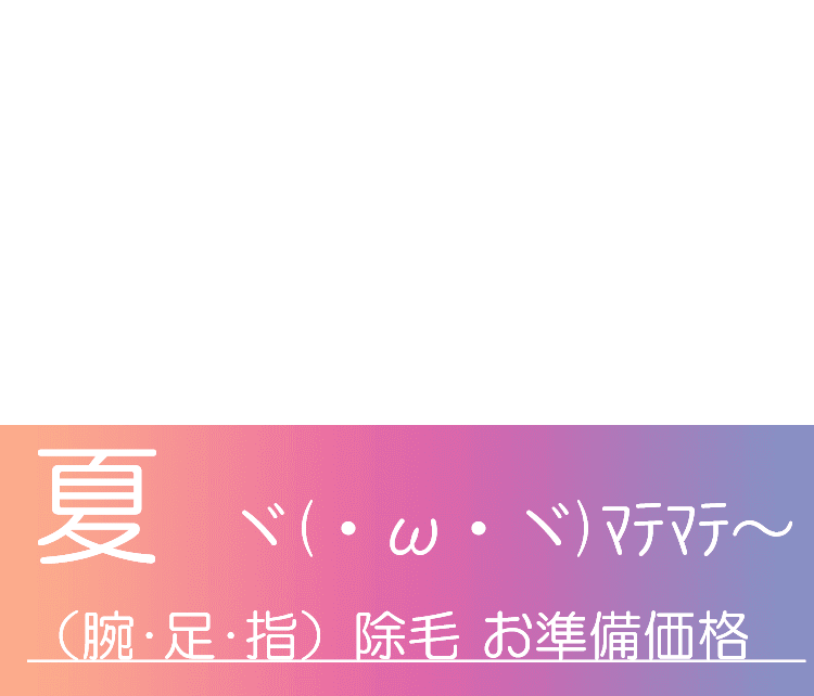 夏　準備価格